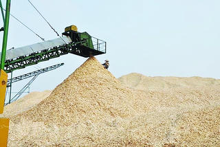 Xuất khẩu viên nén gỗ: Cần thêm lực đẩy từ chính sách để phát triển bền vững