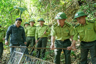 'Siết' tuần tra, tháo gỡ bẫy tại vườn quốc gia Vũ Quang từ bẫy ảnh