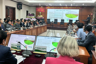 Hợp tác công - tư: 'Chìa khóa' thành công cho Đề án 1 triệu ha lúa