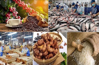 Tìm giải pháp tăng kim ngạch xuất khẩu sang khu vực Âu - Mỹ