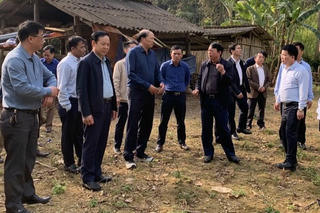 Cao tốc Đồng Đăng - Trà Lĩnh: Quyết liệt bàn giao mặt bằng “sạch”, bảo đảm tiến độ 