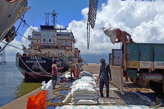 Cơ hội gia tăng xuất khẩu gạo tấm vào Senegal