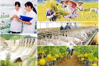Vì sao nhiều dự án ngành Nông nghiệp giải ngân chậm?