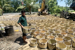 Khởi nghiệp xanh, xu thế đang lớn dần