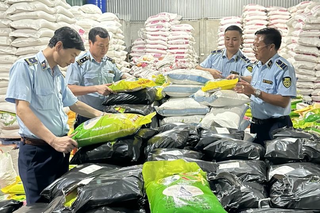 Phát hiện cơ sở sản xuất gạo ST25 giả mạo bán trên Shopee