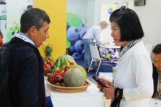 Thương vụ Việt Nam nối dài 'Biên giới mềm' Quốc gia - Bài 2: 'Phao cứu sinh' của doanh nghiệp