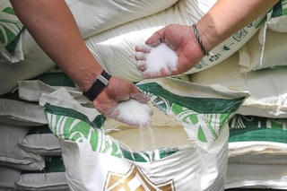 Bộ Công Thương đấu giá 126.000 tấn đường nhập khẩu