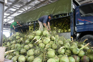 Ngành Nông nghiệp sẽ đạt mục tiêu xuất khẩu hơn 50 tỷ USD? 