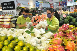 Sản lượng rau, quả tháng 8 giảm nhưng xuất khẩu vẫn tăng trưởng mạnh