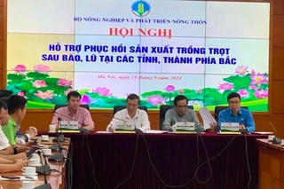 Cấp bách khôi phục sản xuất nông nghiệp sau bão số 3 để bảo đảm đời sống nhân dân