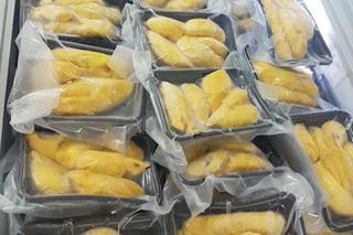Nhiều cơ hội, thách thức xuất khẩu sầu riêng vào thị trường tỷ dân