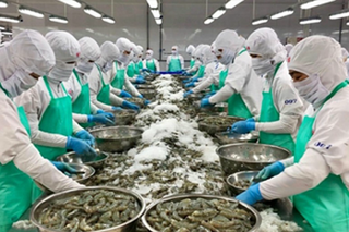 Kiểm soát tốt dịch bệnh thủy sản nhằm nâng cao giá trị xuất khẩu