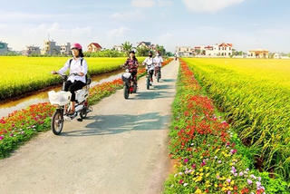 Băn khoăn với đề xuất điều chỉnh chỉ số SIPAS 