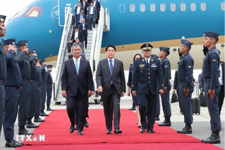 Việt Nam - Peru hướng tới đưa quan hệ lên một tầm cao mới