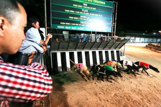 Kinh doanh đặt cược: Cần có quy định mới trên tinh thần đổi mới