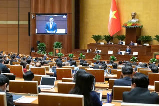 Xây dựng dự án điện hạt nhân Ninh Thuận: Việt Nam không bắt đầu từ con số 0