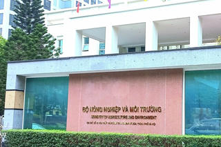 Bộ Nông nghiệp và Môi trường đi vào hoạt động: Cơ hội tái cơ cấu ngành và phát triển kinh tế xanh