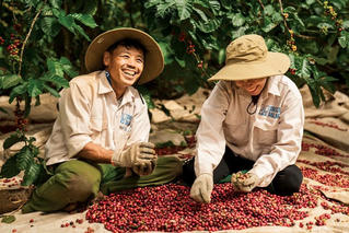 'Cơ hội vàng' cho cà phê Việt 