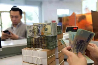 Chính phủ yêu cầu làm rõ thông tin 'Doanh nghiệp FDI báo lỗ ngày càng tăng'