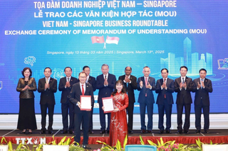 Việt Nam và Singapore cần nâng cao chất lượng hợp tác