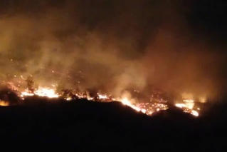 Phó Thủ tướng yêu cầu điều tra nguyên nhân 2 vụ cháy rừng tại Quảng Ninh