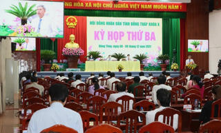 Đồng Tháp: Nhiều lĩnh vực quan trọng được đại biểu chất vấn tại Kỳ họp Hội đồng nhân dân