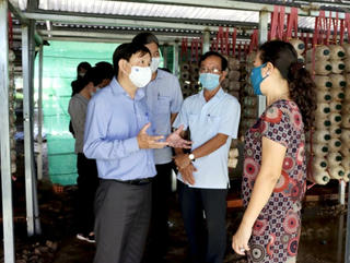 Đồng Tháp xác định đầu tư phát triển kinh tế - xã hội khu vực biên giới theo hướng bền vững, ổn định