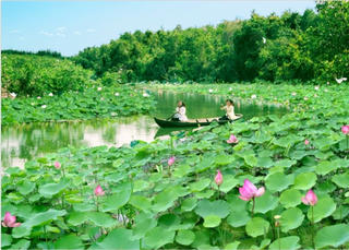 Đồng Tháp: UBND tỉnh ban hành Kế hoạch tuyên truyền, quảng bá ASEAN giai đoạn 2021 – 2025