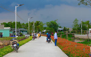  Đường hoa mười giờ đậm tình nghĩa quê hương ở Cần Thơ