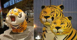 Đôi nét về hình tượng con Hổ trong văn hóa từ xưa đến nay ở Cần Thơ