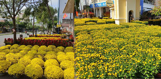 Cần Thơ chuẩn bị khoác lên mình “chiếc áo Tết”