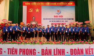 Đồng Tháp: Đoàn TNCS Hồ Chí Minh với khẩu hiệu “khát vọng, tiên phong, bản lĩnh, đoàn kết, sáng tạo”
