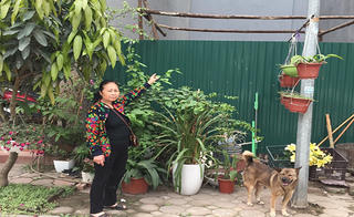 Xã Tân Triều, Thanh Trì, Hà Nội: Gánh cháo quê theo hầu cửa quan