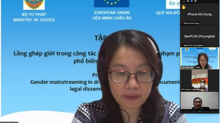 Lồng ghép vấn đề giới trong công tác xây dựng văn bản và phổ biến pháp luật