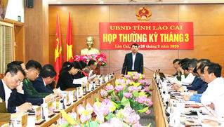 Lào Cai quyết tâm thực hiện mục tiêu kinh tế - xã hội năm 2020 dù dịch Covid-19