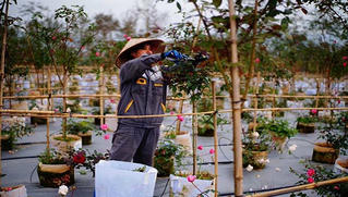 Gần 103.000 người, hộ kinh doanh ở Cao Bằng cần được hỗ trợ do dịch Covid-19