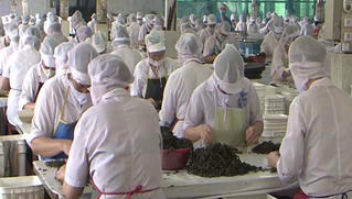 Hoà Bình: Triển khai đồng loạt nhiều giải pháp xúc tiến đầu tư