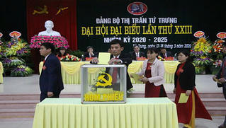 100% chi bộ trực thuộc các Đảng bộ cơ sở của Vĩnh Tường (Vĩnh Phúc) đã tổ chức xong đại hội