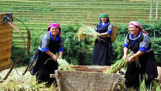 Yên Bái nỗ lực giảm 4% tỷ lệ hộ nghèo trong năm 2020