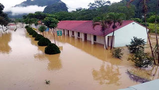Lũ về làm ngập 65 ngôi nhà, 120 ha lúa mùa ở Hà Giang