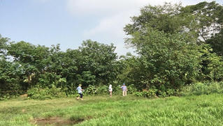 Vĩnh Tường (Vĩnh Phúc): Thu hồi đất để nâng cấp đường giao thông