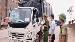 Phường Phú Thượng (Hà Nội) quyết tâm bảo vệ "vùng xanh" 