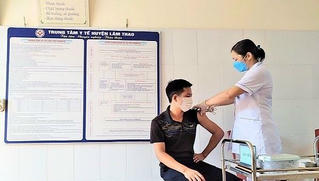 Supe Lâm Thao vượt khó trong đại dịch