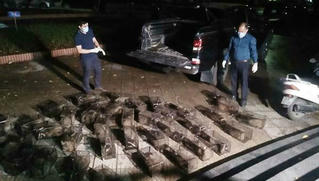 "Ôm" trái phép 100 cá thể cầy vòi mốc nhận gần 600 triệu đồng tiền phạt