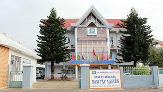 Công ty xăng dầu Nam Tây Nguyên: 45 năm vững vàng phát triển 