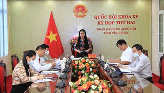 Thảo luận tại Tổ, Đại biểu Quốc hội tỉnh Vĩnh Phúc đề xuất nhiều giải pháp 