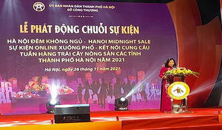 Vĩnh Phúc: Tham gia tuần hàng trái cây nông sản các tỉnh thành phố tại Hà Nội 