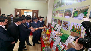 Chè Xứ Tuyên chinh phục thị trường, khẳng định thương hiệu Việt