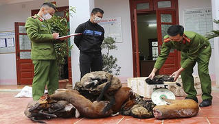 Điện Biên liên tục bắt giữ các vụ vận chuyển động vật hoang dã