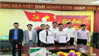 NTEA Group: Nỗ lực giành vị trí đứng đầu trong lĩnh vực xuất khẩu chè